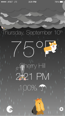 weather