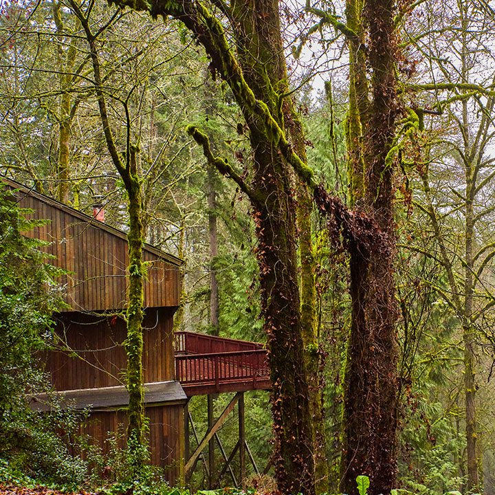 West hills of portland