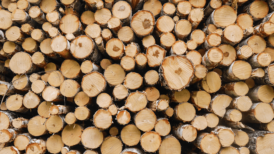 Wood Detail
