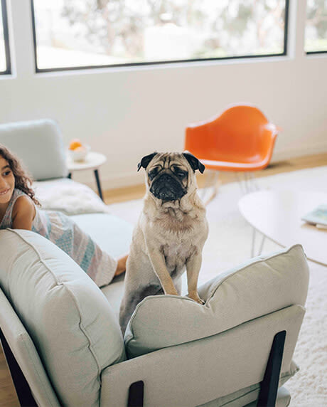 Child and dog on the Three-Seater Sofa in Mist