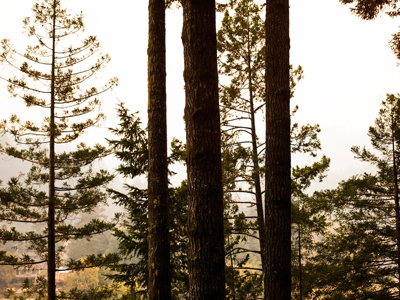 05d russian river