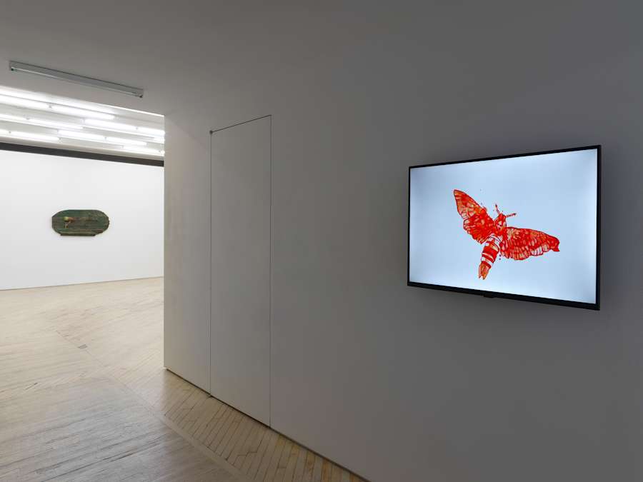 In the hallway of a darkened gallery space a digital display monitor with a still image of red butterfly from an animation. In the background is a green, round wall sculpture on a white wall.