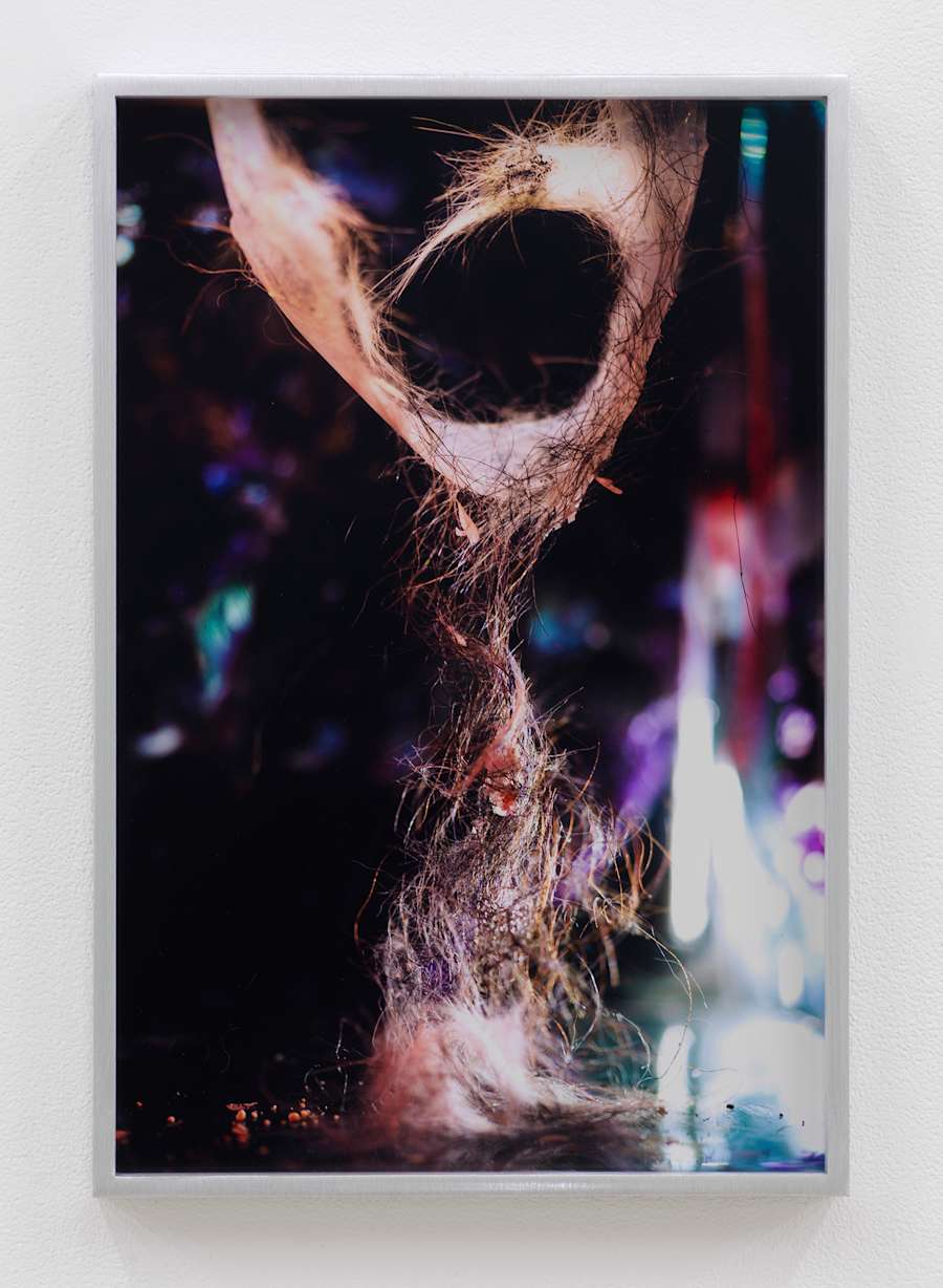 A brown construction made mostly from hair has an hour-glass like shape, lit slightly at the top, against a multicolor out of focus background of violets, pinks and cyans.