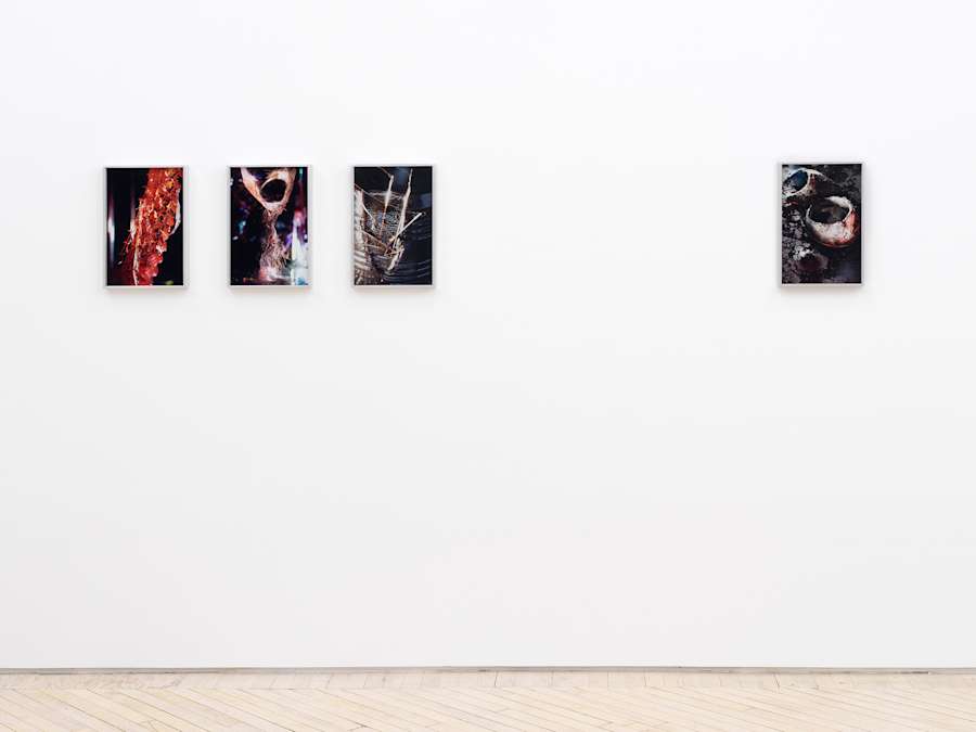 Installation view of photographs by Diane Severin Nguyen hung in a series of three with another single photograph to the far right.