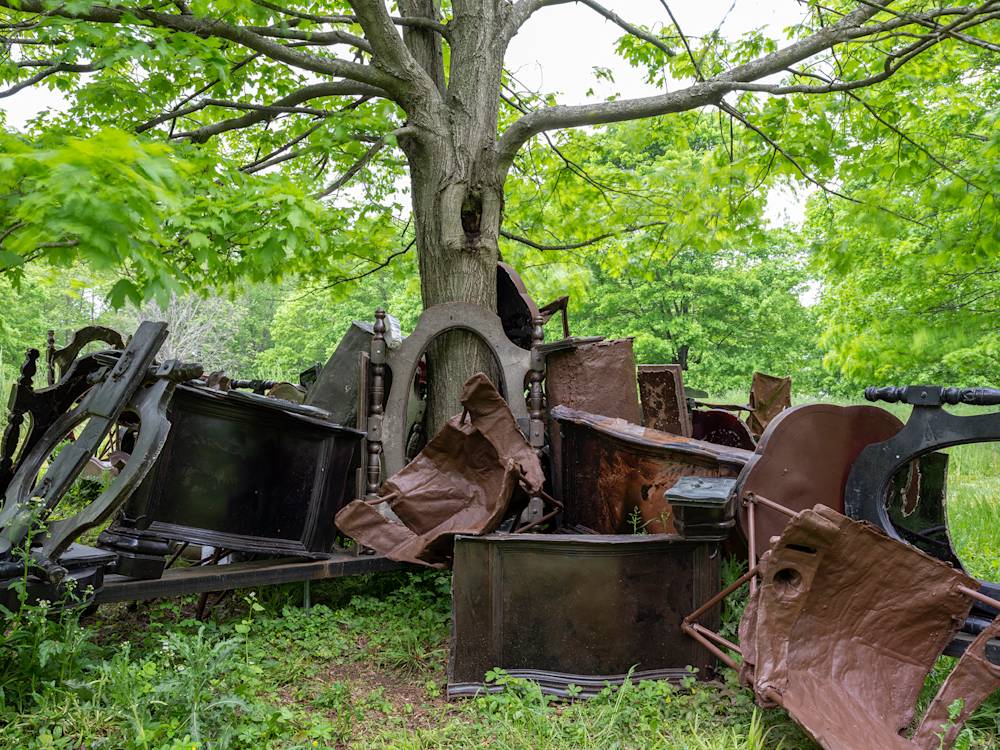 A large tree surrounded by numerous abstract sculptures resembling furniture.