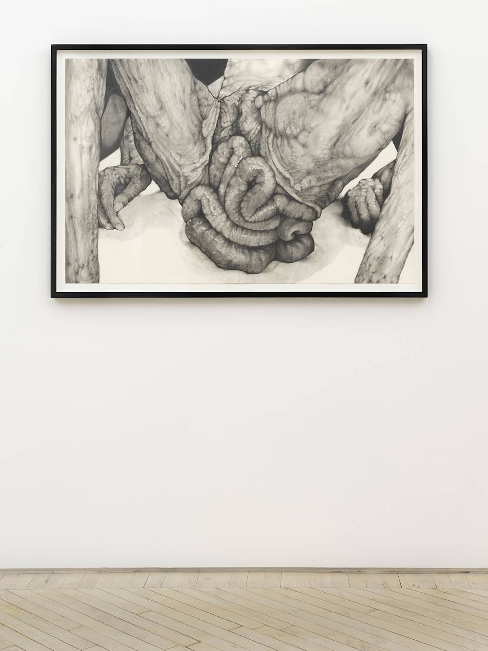 Hung on a gallery wall is a graphite drawing of a detail of a prolapsed organ in a black frame.
