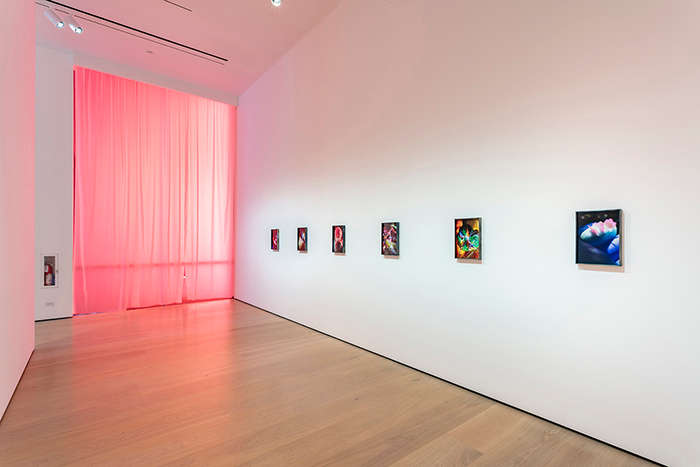 Installation view of Diane Severin Nguyen at the Hammer Museum in LA, a red curtain covers a large window to the left of the image emitting a red glow, six framed photographs are hanging in a row on the gallery wall to the left.