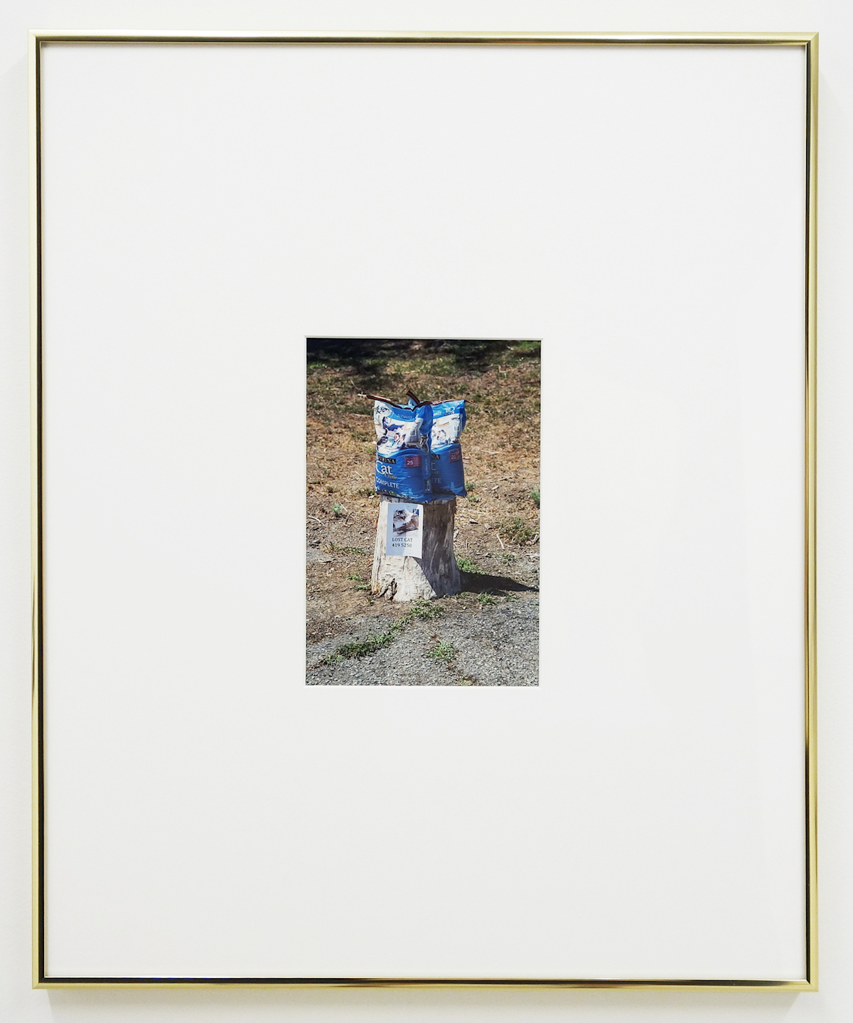 Color photograph in a large white matte and brass frame. The image shows two blue bags of cat food on a tree stump in a dusty brown grass field. On the tree stump is a xeroxed sign for a lost cat.