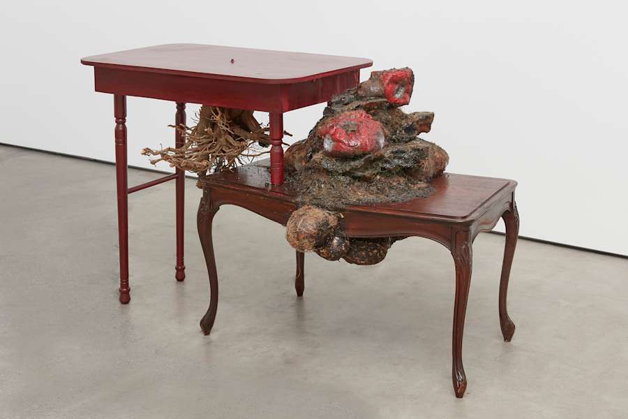 Image of a sculpture by Brandon Ndife. Freestanding in a gallery is what appears to be a piece of furniture similar to two coffee tables stacked on top of each other, both stained a reddish-brown.What looks to be gourds are "growing" on top of the sculpture, and there is a tree trunk emerging from the bottom of one of the tables.