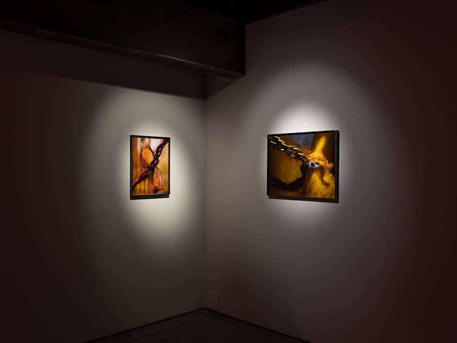 A darkened gallery space with two spot light framed photographs of twisted forms resembling hair or chains in neon colors.