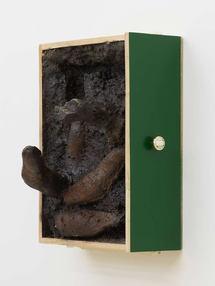 On a white wall, a wall sculpture depicts a bird's-eye view inside a wooden cabinet drawer. Inside is a mixture of cast forms protruding out from the drawer. The inside is painted a dark brown resembling organic material. The side of the sculpture is painted green and has a white knob.