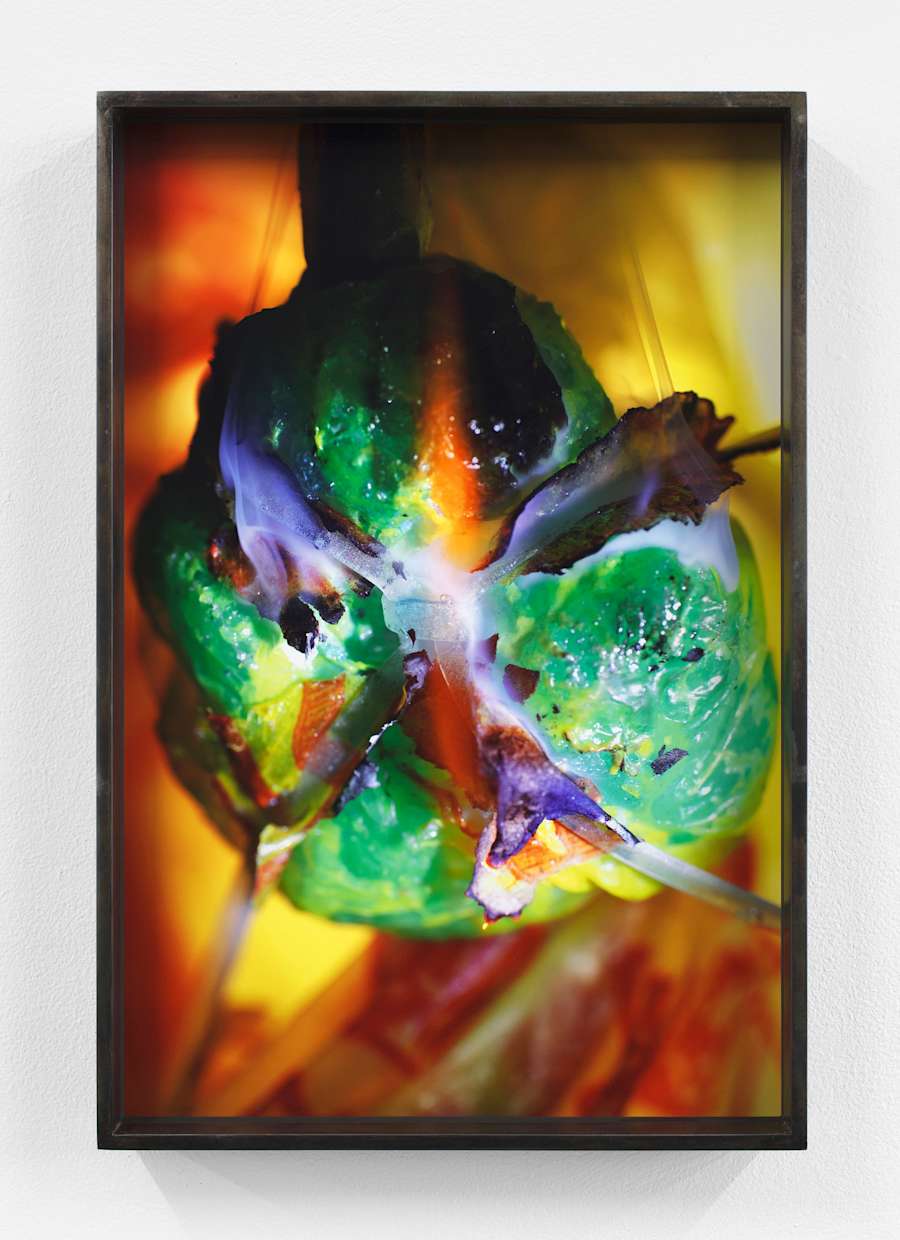 Framed photograph of a round green form that touches both left and right edges of the image, a small flame with wisps smoke emitting from the center of the object. The background of the image is varying shades of yellow and orange not in focus.