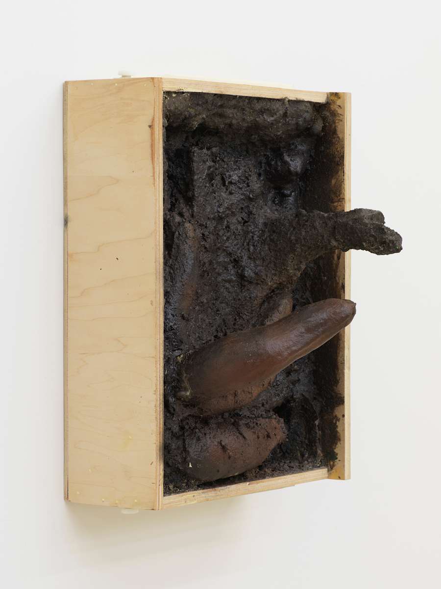On a white wall, a wall sculpture depicts a bird's-eye view inside a wooden cabinet drawer. Inside is a mixture of cast forms protruding out from the drawer. The inside is painted a dark brown resembling organic material. The left side of the sculpture is raw wood.