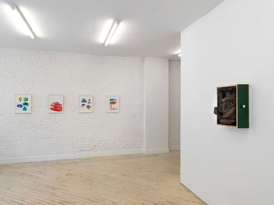 In a gallery space, four cartoon-like handmade drawings are hung in white frames evenly spaced apart. The most commanding colors are hues of greens, blues, reds, and purples. On the right wall is an a sculpture housing a mixture of forms inside of a cabinet shelf hung on its side.
