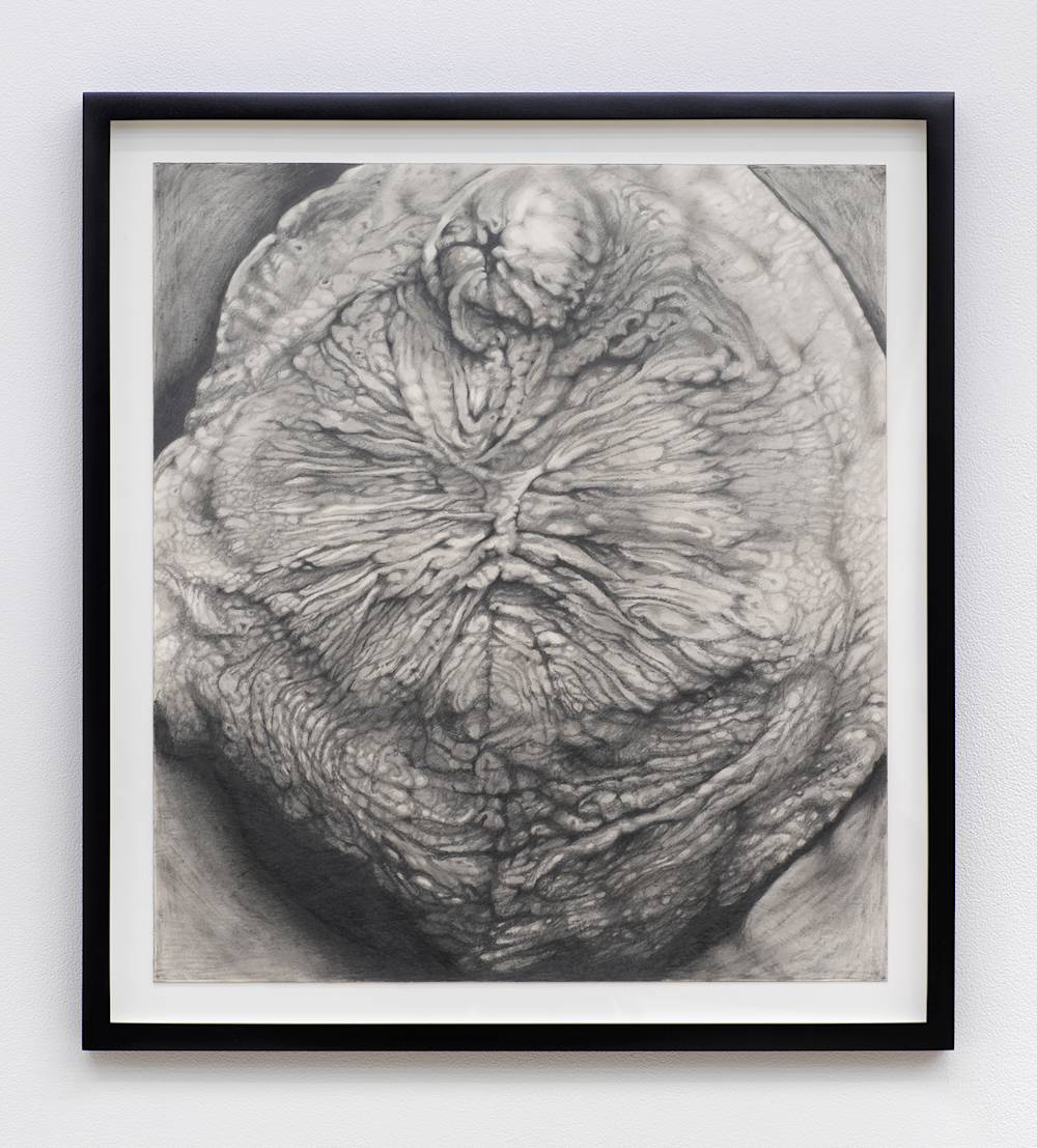 In a black frame on a white wall, a realistic graphite drawing of a wrinkled part of a person's body.
