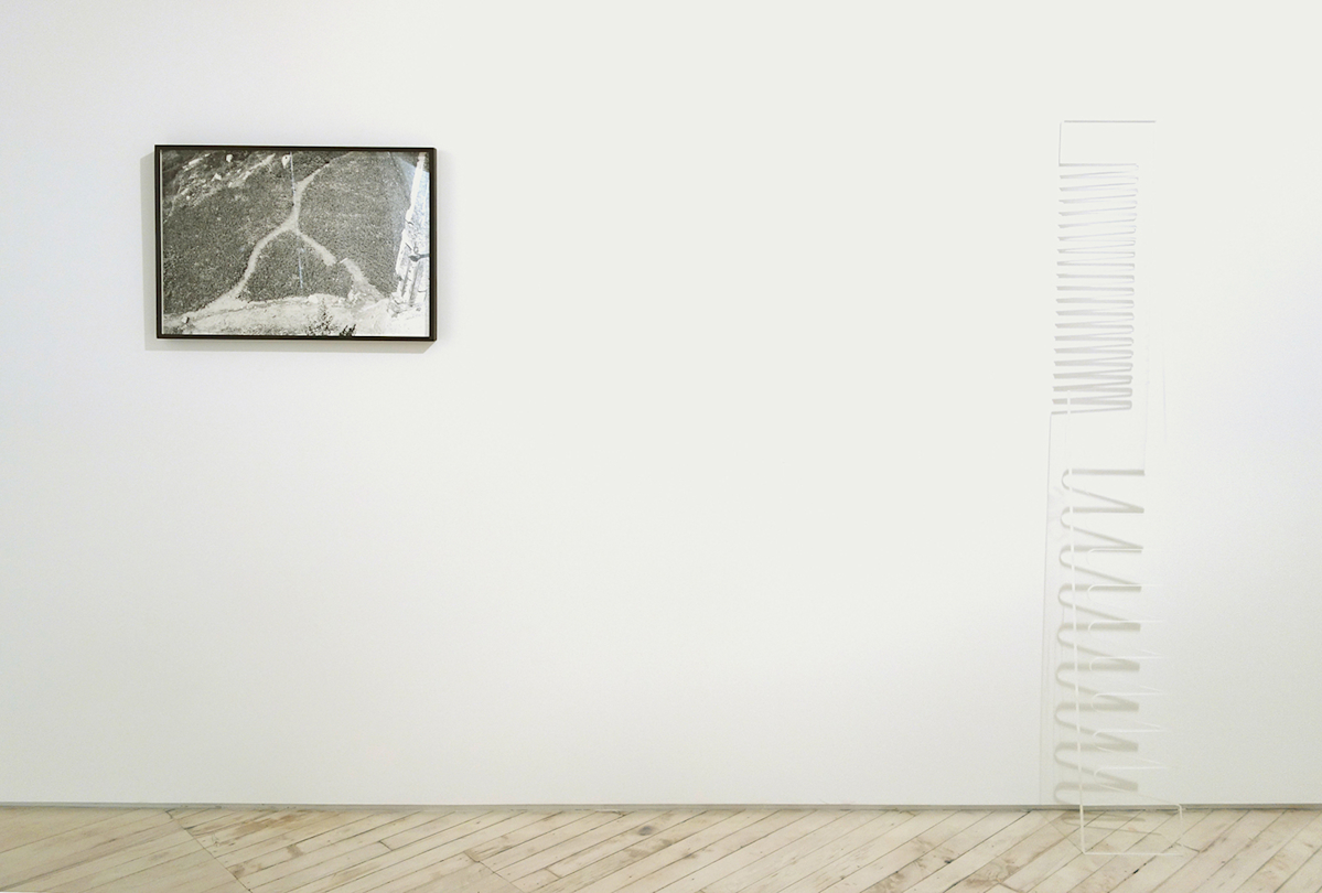 On the left, framed b/w photograph of a view of a grassy and rocky field, on the right a giant hair comb made of clear acrylic.