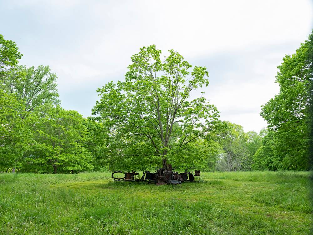 A large tree surrounded by numerous abstract sculptures resembling furniture.
