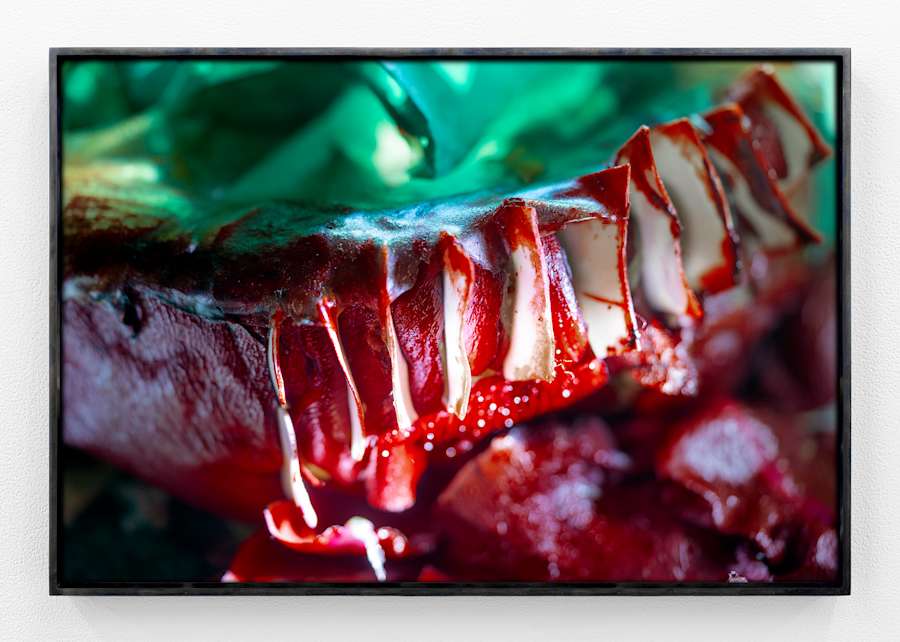 A red mass of unknown substance is the subject of the image, there are white shards of plastic stuck into the red mass running vertically across the face of the mass. A green glow is out of focus in the back ground above the mass.