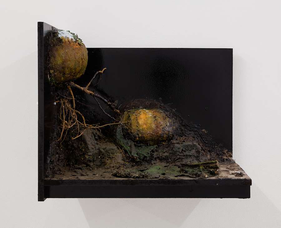 Image of a sculpture by Brandon Ndife. Hanging on a gallery wall is what appears to be a piece of furniture, like a filing cabinet drawer, painted black with dirt, debris and contained growth on the inside of it. What looks to be gourds are "growing" inside of the drawer and painted like decaying flesh. There are some twigs and plant roots as well.