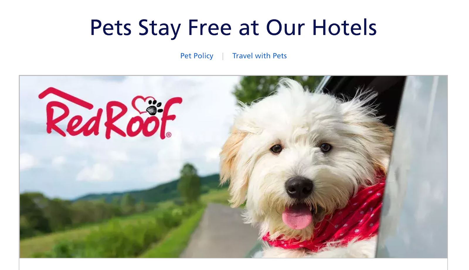 Red Roof Inn Pet Friendly Screenshot of Red Roof Inn's website showing they are pet-friendly