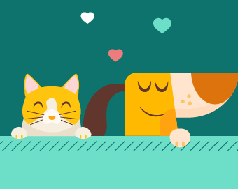 Cost of Companionship: Pet Spending in the US