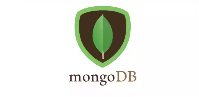 MongoDB for developers