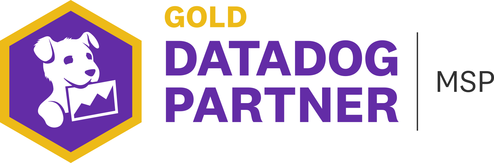 DataDog Gold Partner Badge