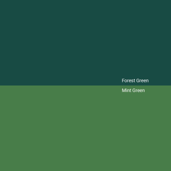 forest-green-v-mint-green