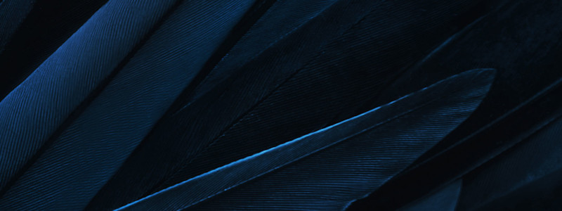 Phantom-Blue Banner 1