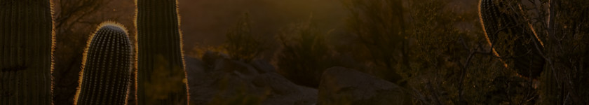 Spotify banner west