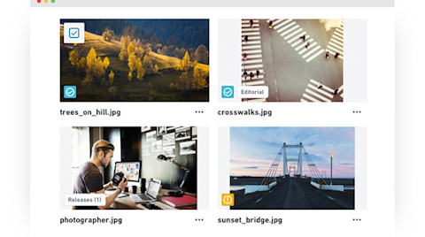Status Flags browser