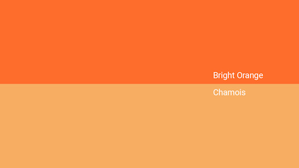 bright-orange-v-chamois bright-orange-v-chamois