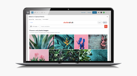 WordPress VIP