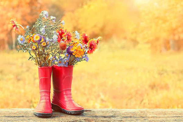 Using autumn images for social media