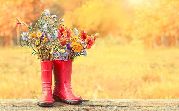 Using autumn images for social media