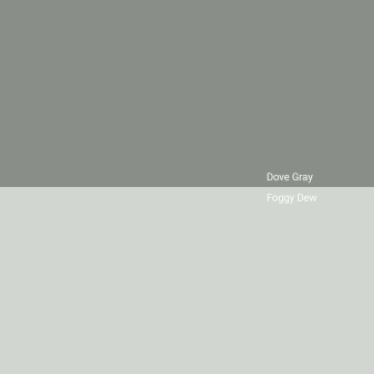 Dove-gray-vs-Foggy-dew