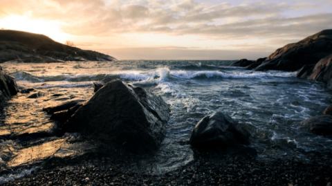 Shutterstock Custom visits the ocean with Alaska Air