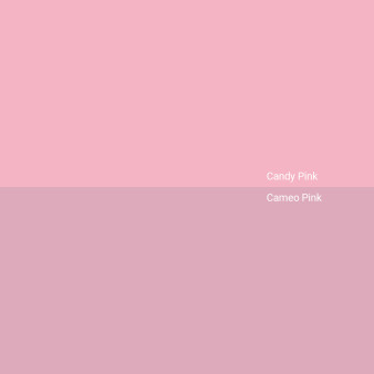 candy-pink-v-cameo-pink