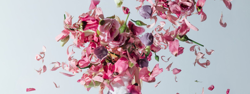 Petal Power - Banner