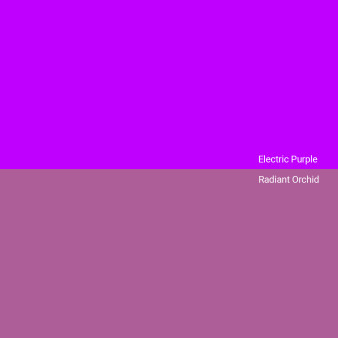 ElectricPurple-RadiantOrchid