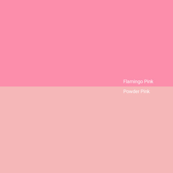 flamingo-pink-v-powder-pink