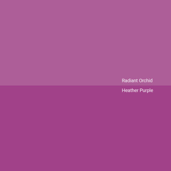 radiant-orchid-v-heather-purple