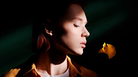 ent hp offering - images