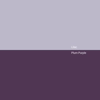 lilac-v-plum-purple