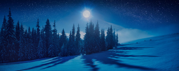 Winter image background
