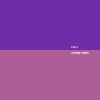 grape-vs-radiant-orchid