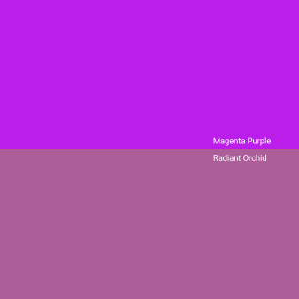 magenta-purple-vs-radiant-orchid