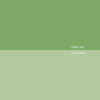 green-tea-v-foam-green