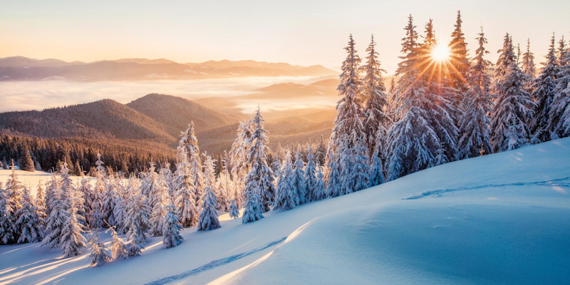 Winter-3