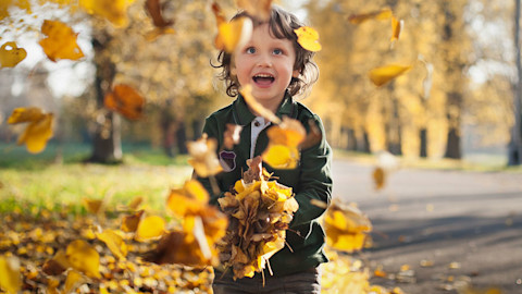 Autumn Thumbnail